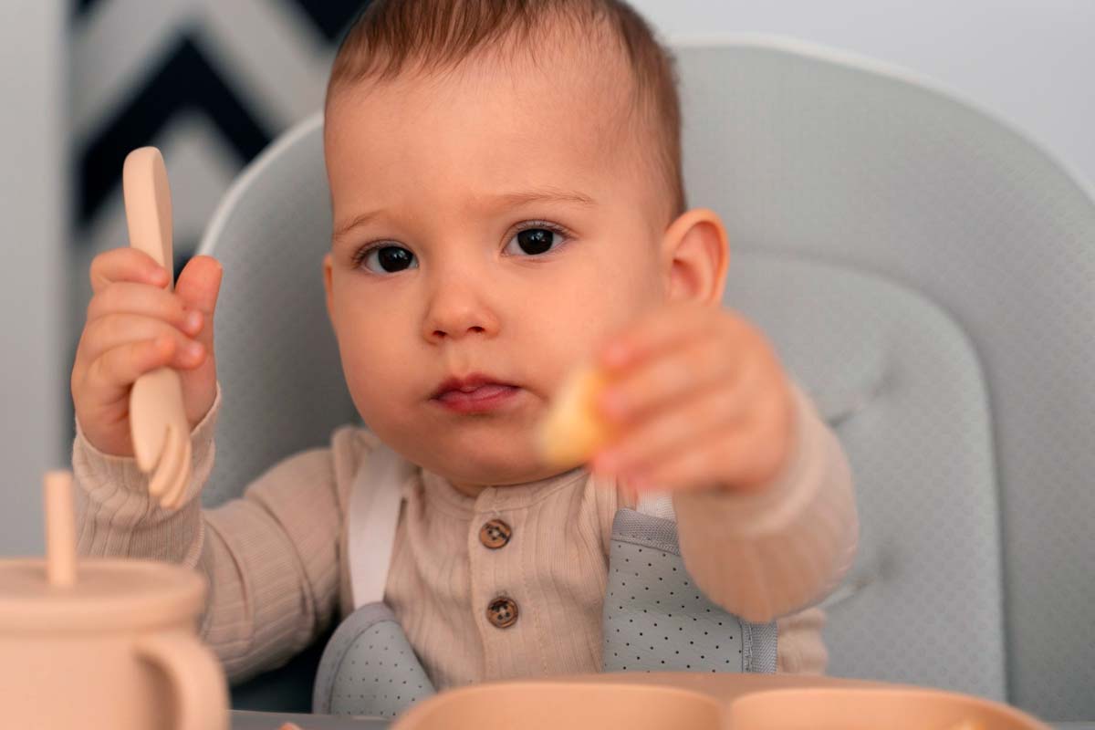 repas solide chez bébé